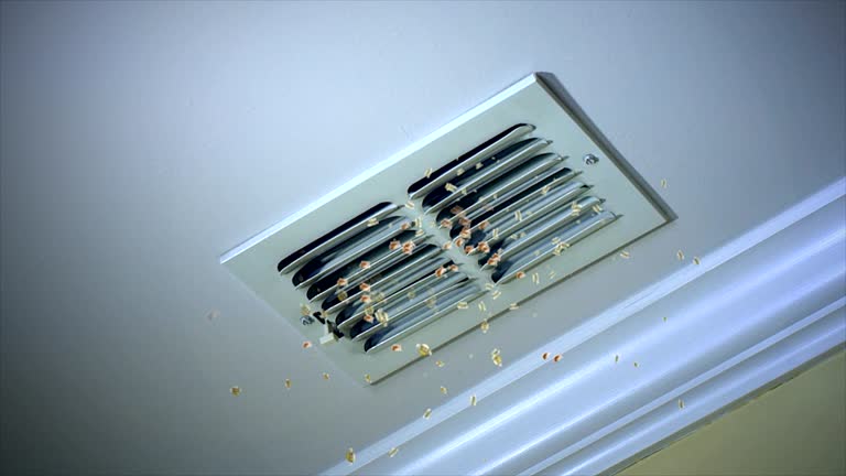 Best Ductwork Cleaning Services  in Millbourne, PA